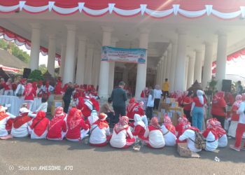 MERIAHKAN HARI GERAK PKK KE-52 DAN DIRGAHAYU  RI KE-79 PENUH MAKNA