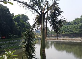 KOLAM RETENSI KP3B HINDARKAN UNTUK TEMPAT NEGATIF